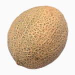 Melón Mediano