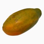 Papaya