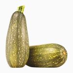 Zucchini