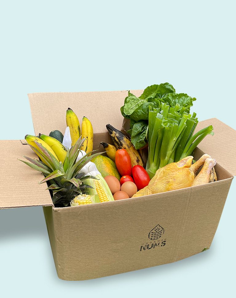 organic-nums-banner-1 organic-nums-banner-1
